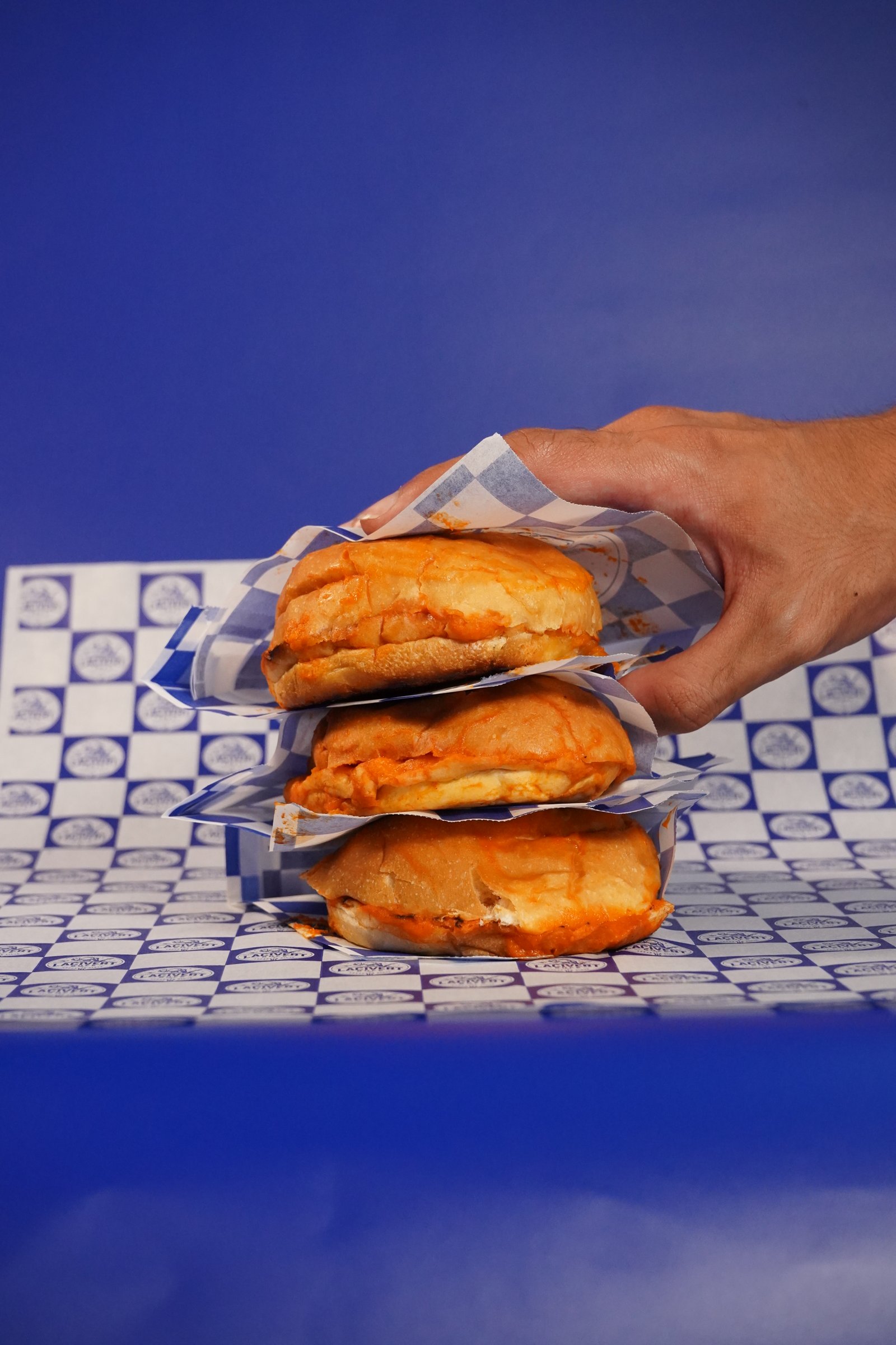 Islak Hamburger